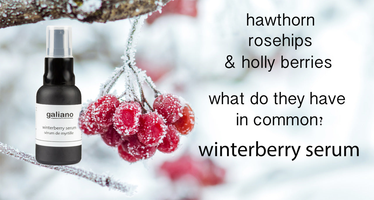 severe weather protection