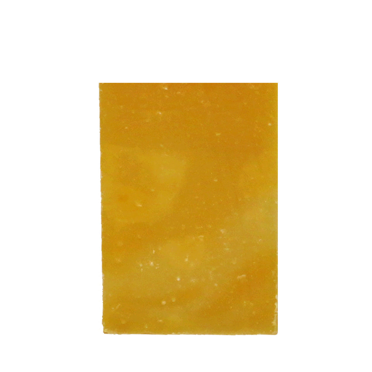 Bonsai & Citrus Ginger Luxury Soap Bar